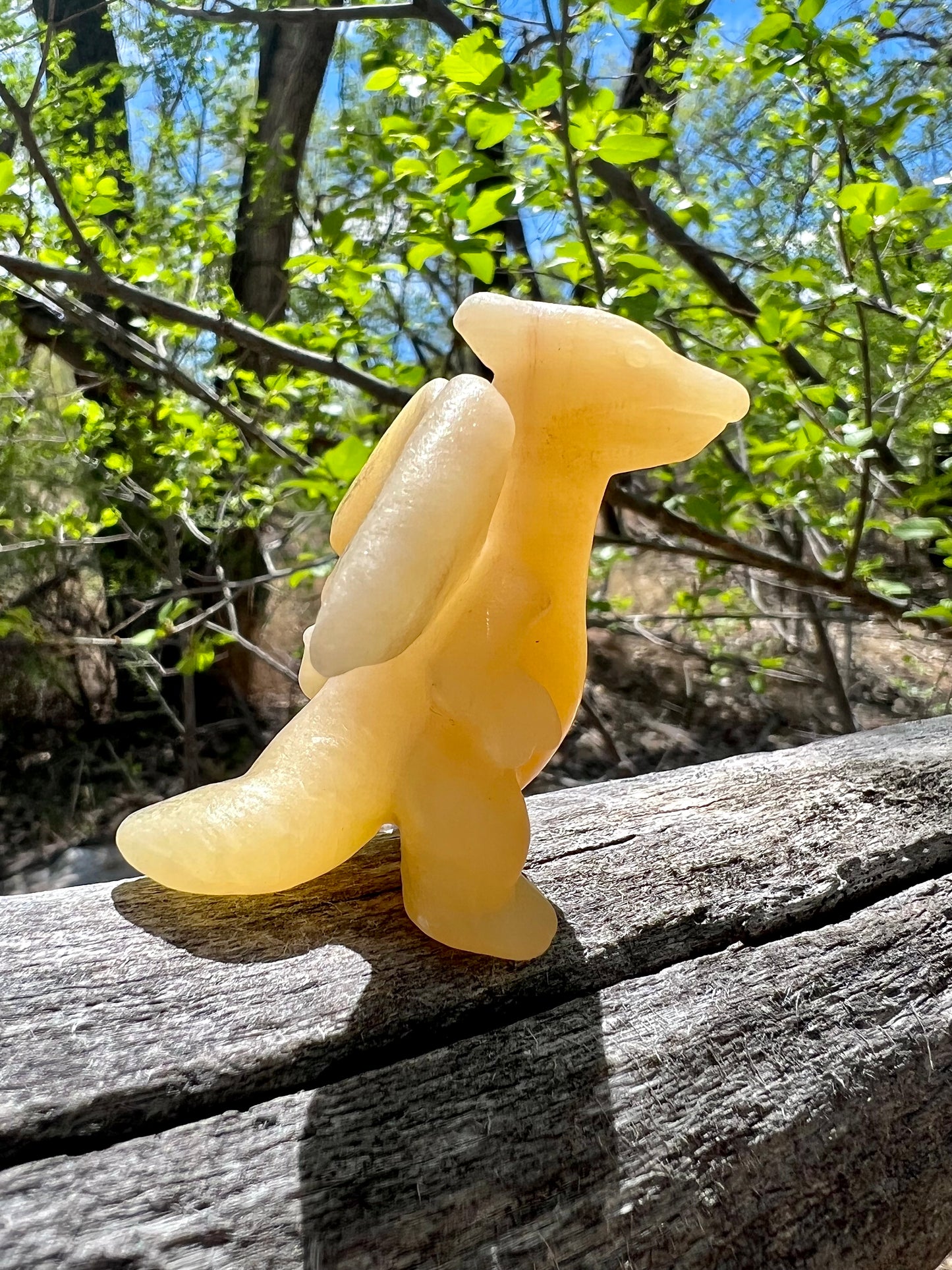 Orange Calcite Charizard