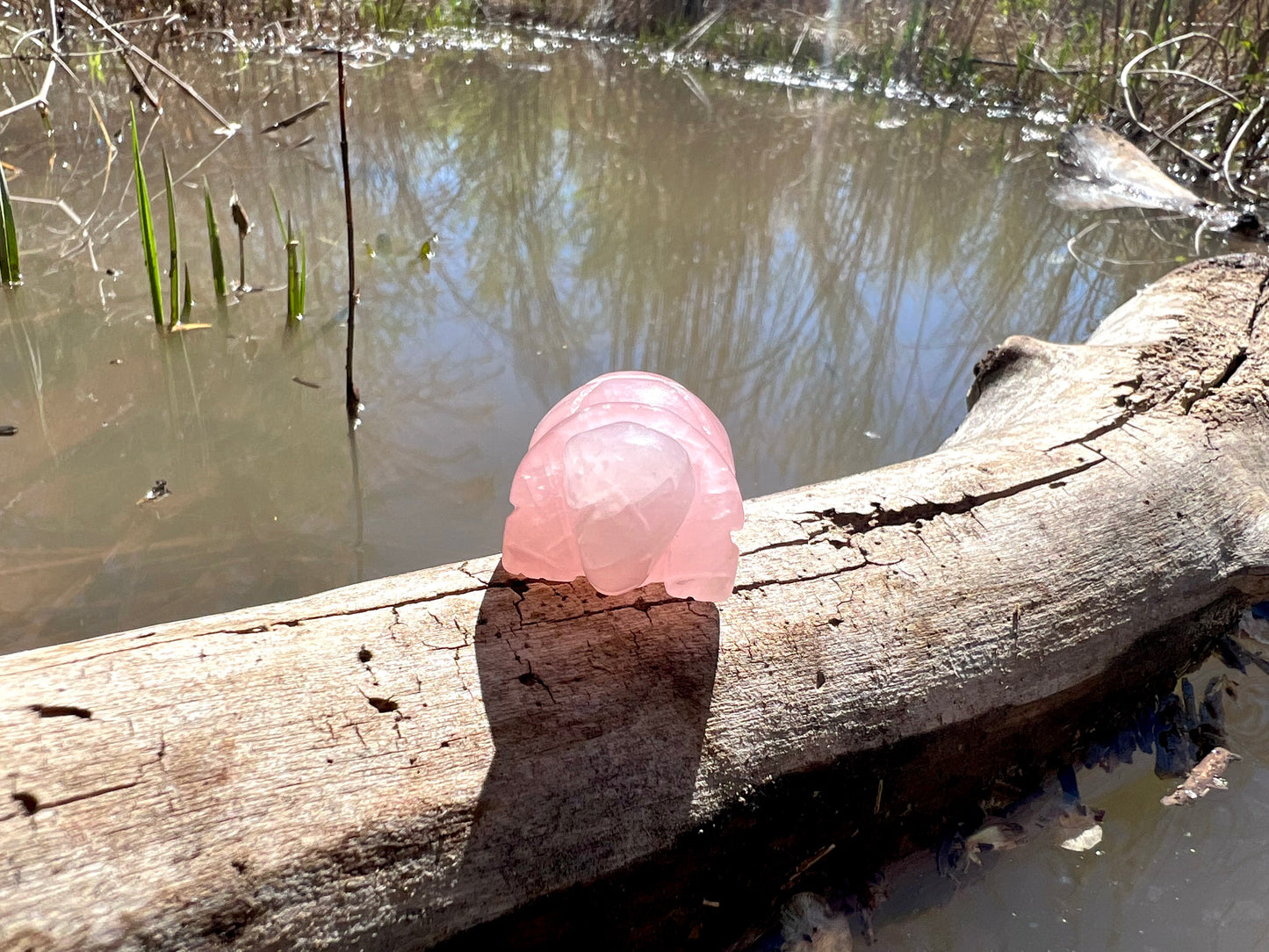 Rose Quartz Turtle