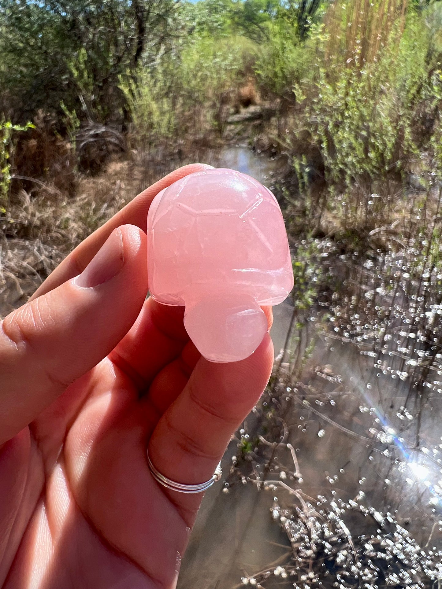 Rose Quartz Turtle