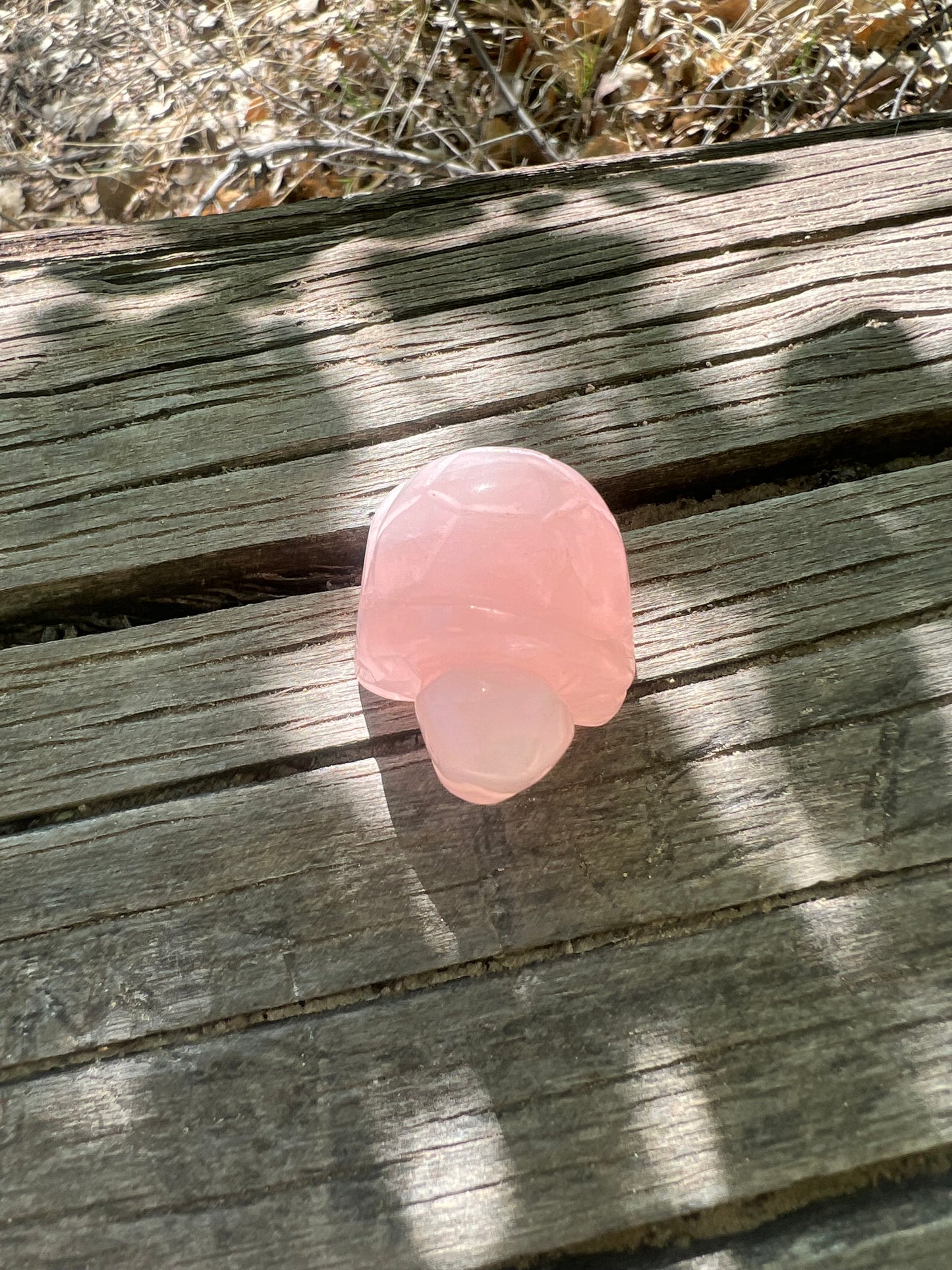 Rose Quartz Turtle