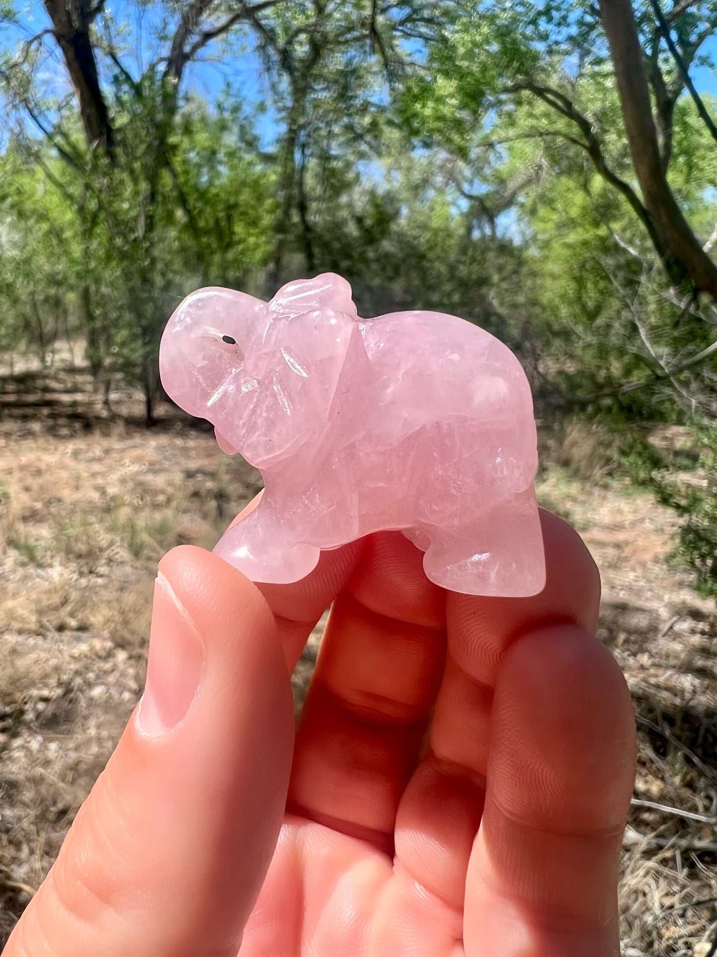 Rose Quartz Elephant