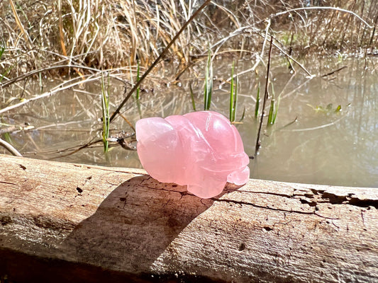 Rose Quartz Turtle