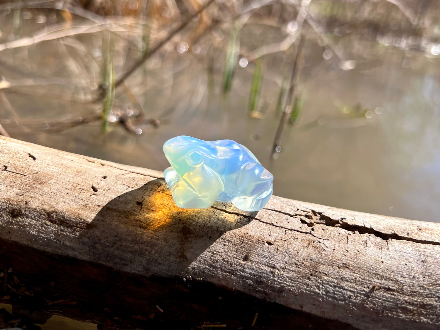 Opalite Frog