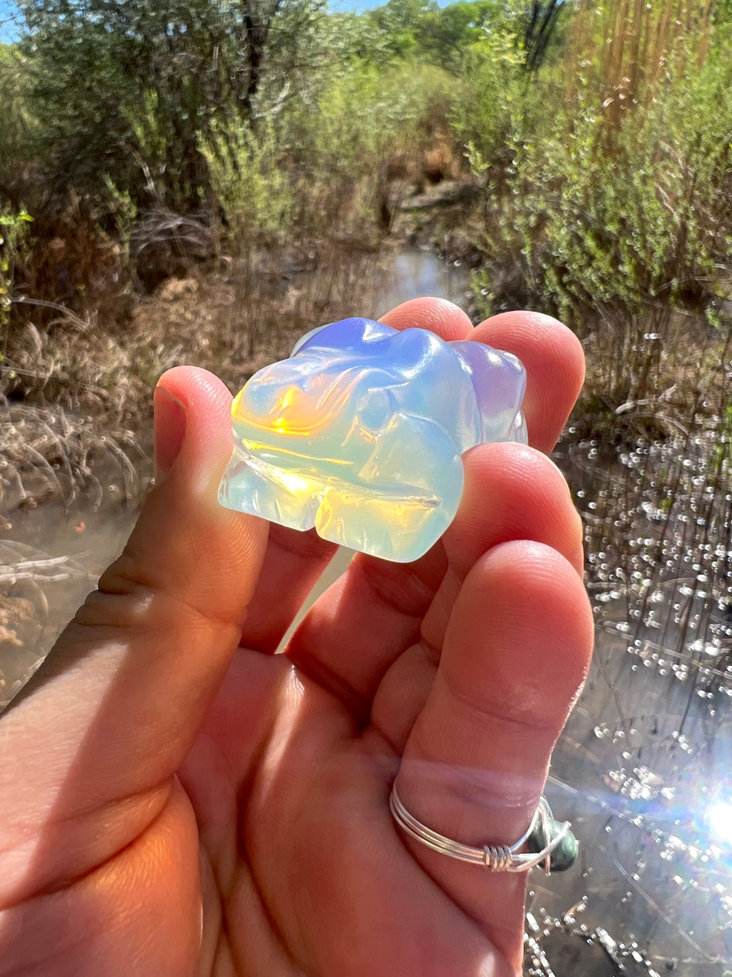 Opalite Frog