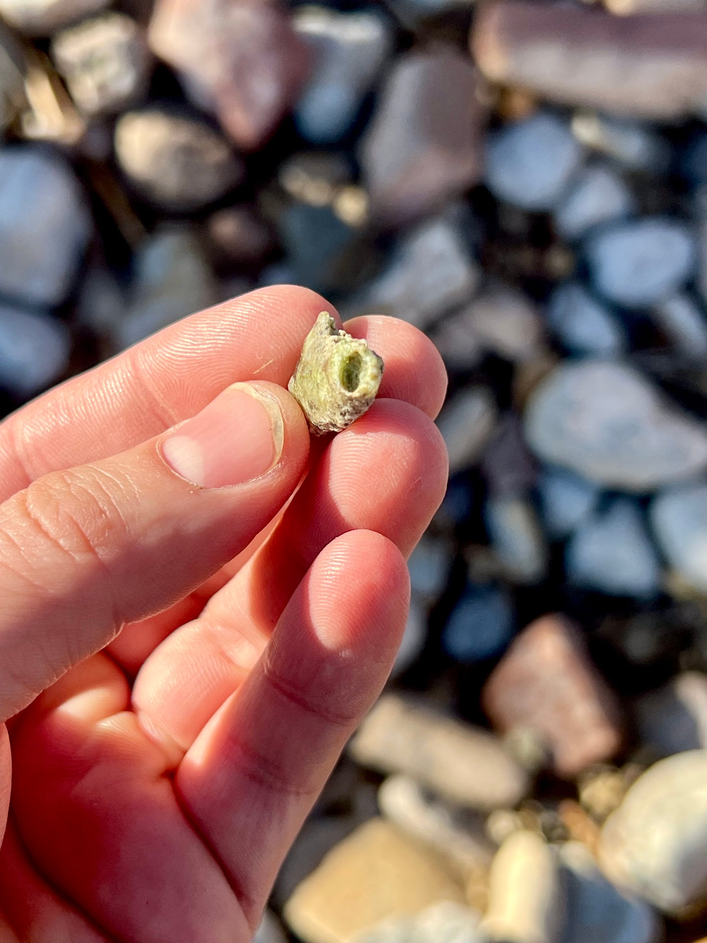 Trinitite from the Trinity Test Site // White Sands, New Mexico