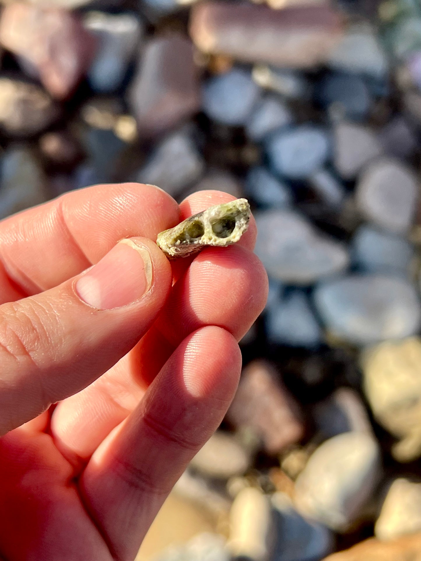 Trinitite from the Trinity Test Site // White Sands, New Mexico