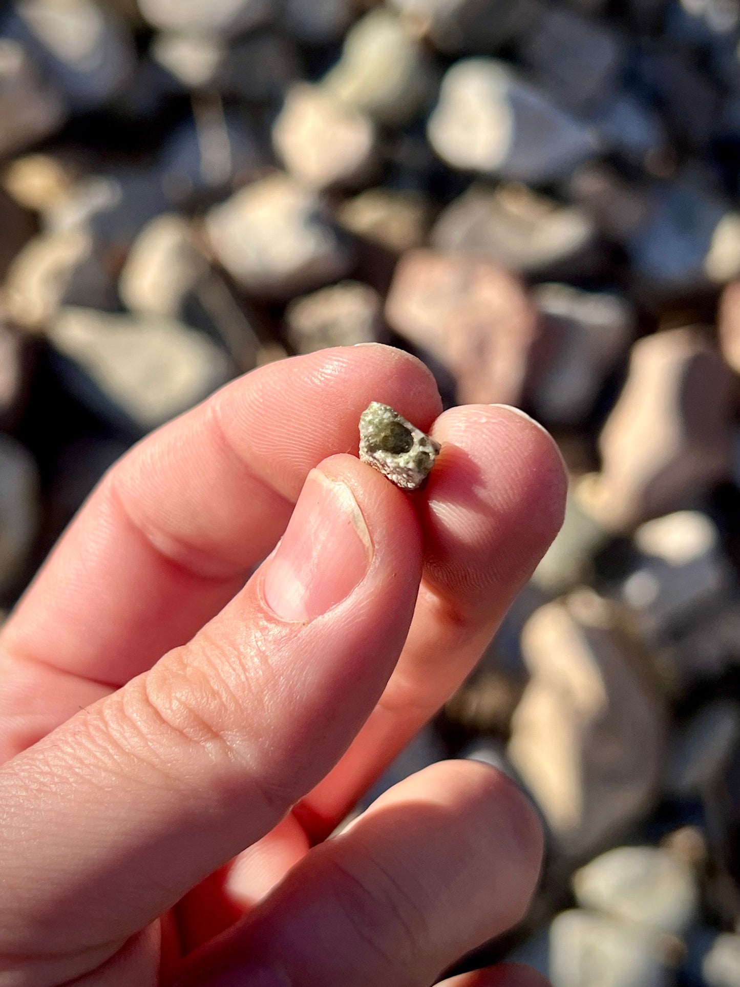 Trinitite from the Trinity Test Site // White Sands, New Mexico