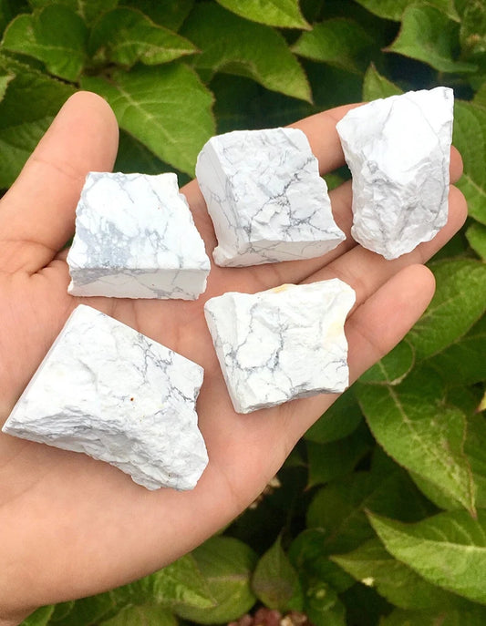 Rough Howlite